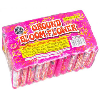 463 GROUND BLOOM FLOWER